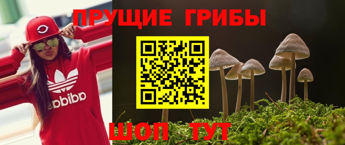 Галлюциногенные грибы мицелий  Псилоцибиновые грибы прущие грибы  Вход с VPN  Березники 