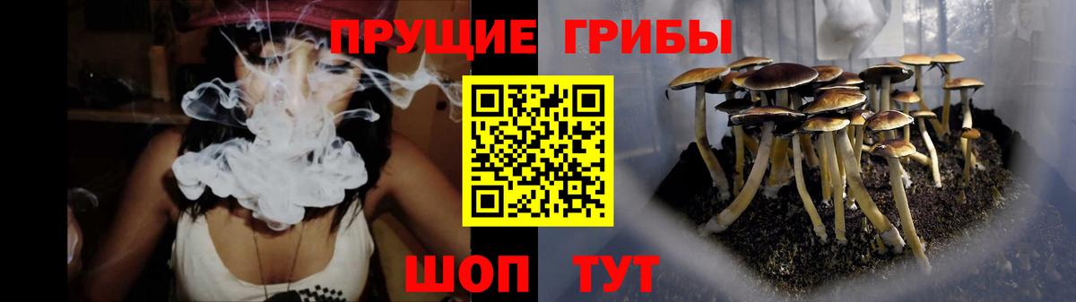 Псилоцибиновые грибы Magic Shrooms Березники